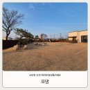 포댕 | 포항 오천 애견운동장&amp;애견카페 포댕 이용후기