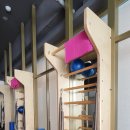 필라펠리스 이미지