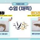 풍하 - 당진시 | 풍하