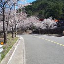 클로버 태양광발전소 이미지