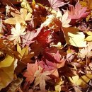 성산자동차공업사 이미지