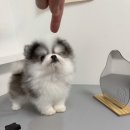 우월한스테이 이미지