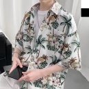 236 이미지