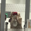 탑비드