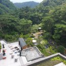 포레스트리솜 이미지