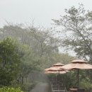 느긋한 시절 이미지