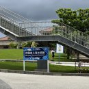 보라수족관 | 오키나와 태교여행 추라우미 수족관 후기 근처 오키나와 소바 맛집 카이로 추천
