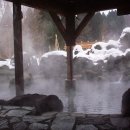 용지온천 이미지