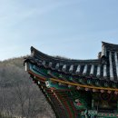 백1리 | 고통은 실체가 없다