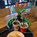 카페잠진도길28