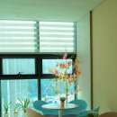 평생학습관 강좌로 타로심리상담사 자격과정 | [기자단]새해, 배움과 성장은 설성 평생학습관에서