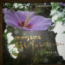 아리아리