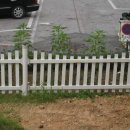 원광대학교사범대학 부속유치원 이미지