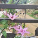 약돌농장 이미지