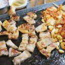 용두똥돼지 이미지