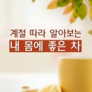 계절따라 - 남구 | 계절따라