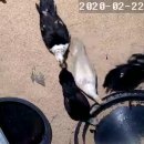 다래호텔 이미지