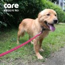 제우스농장 이미지