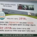 종각교동짬뽕