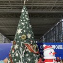 세븐일레븐 유성엑스포3단지점 | 대전 한밭수목원 엑스포 스케이트 눈썰매 준비물 겨울 아이랑 가볼만한곳