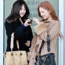 리즈 스타뉴스