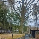 숲으로 | 부산 기장 아홉산숲으로 주말나들이 후기