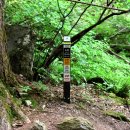 단양-단양-04 이미지