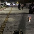 비치아트페스티벌 | 2024년 대전 서구아트페스티벌 축제 후기(+박혜원, 데이브레이크, 오마이걸)