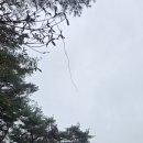 천하빌리아드(2층동쪽) | 🎄사찰 여행 (2)— 봄에 더욱 깨어나는 산사의 숨결