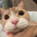 반짝반짝