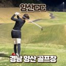 캘리그라피2(야간) | 양산CC 3부 라운딩 후기 | 가성비 야간 골프