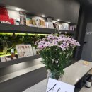 스파 앤 컷 이미지