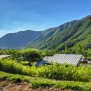 보현산자연휴양림 산 이미지