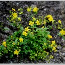 도림국제관광호텔 이미지