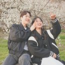 양천구 지역명소 탐방코스 1 | 봄꽃 산행 명소 BEST 10 , 직접 가보고 추천하는 봄산,봄꽃,봄여행지 추천