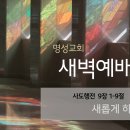 영성일기 2024.01.29.(월)새벽기도회(찬송)368장(성경)행9:1-9 // [성경공부] 천국 소망으로 충만한 성령의 사람 이미지