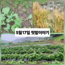 해원농장 이미지