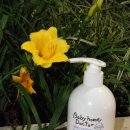 홈닥터(home doctor) | ♥베이비홈닥터♥ BABY HOME DOCTOR DAILY LOTION / 데일리 로션