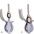 큐동물병원 이미지