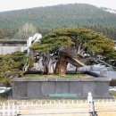 제주아트랜드 이미지