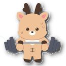 주식회사 쏠커머스