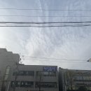 케이방역서대문 | 2021년 4월 일상