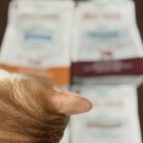 베스트 캣 | 알모네이쳐 신상 사료 솔직후기 -HFC 아워베스트 캣