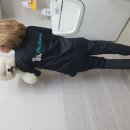 master grooming 이미지