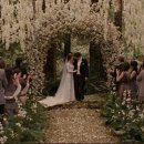 화이트홀 이미지