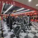 리본휘트니스 이미지