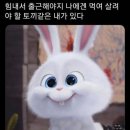 라면밸리
