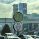 황금고양이 | 대구24시동물병원 24시 황금동물의료센터에서 고양이 건강검진 받은 후기