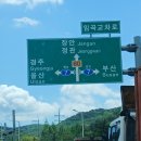 광역투어(다섯째주, 토) | 고래야~고래야🐳, 울산장생포 고래문화마을
