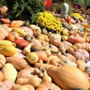 더맑은이현마을 이미지